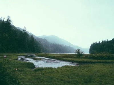 Boss战策略