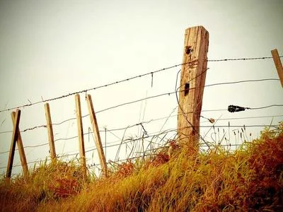 资源分配